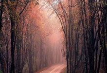 多多28官网:追光 | 新年首次集训,国足练了啥?2025-01-19.