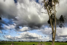 [棋牌]图集-“白水苹果杯”第五届女子国手赛北京开幕.