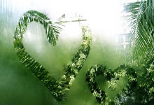 郑钦文商业价值再获肯定 蚂蚁集团官宣完成续约.